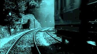 Discover the allure of vintage erotic hairy illustrations!