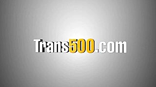 omg this transsexuals huge cock fucks sooo good i cant even... sloppy pov blowjob assfucking