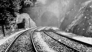 Discover the allure of vintage erotic hairy illustrations!