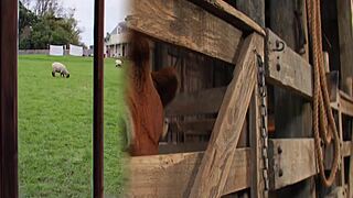 i pearl 2022 fell hard on scarecrow's thick pauzudo cock safada