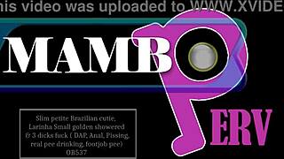 Slim Petite Brazilian Larinha Gapes After DAP Anal Pee Golden Shower Footjob