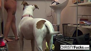 Three Tattooed Brunette Pornstars Tease Each Others Wet Pussies Seductively