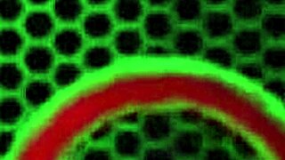 hey, check out sara jay's sexy girlfriend vibes up close