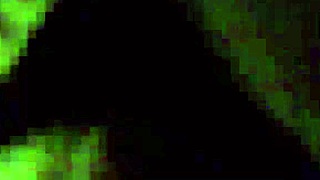 stepsis sneaks in for some secret late-night fun