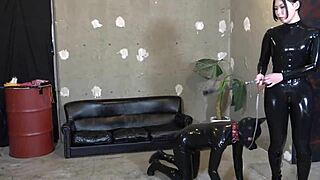 i'm the masochist pet of my japanese dominatrix in latex catsuit she owns me completely