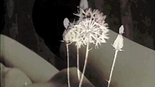 i remember vintage dark london bound tight for that interracial gangbang thrill