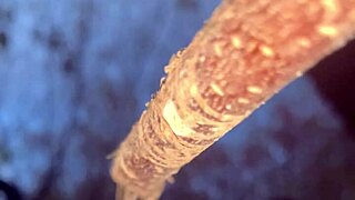 Real witch bends over forest tree for big cock doggystyle creampie pounding