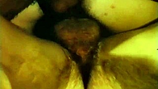 Vintage Group Blowjobs Double Penetration Hairy Pussies