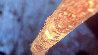 Real witch bends over forest tree for big cock doggystyle creampie pounding