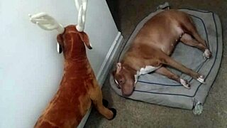 clever zodiac patience tests minus any masturbation tricks part four