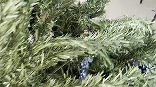 merry christmas from festive cosplay fun