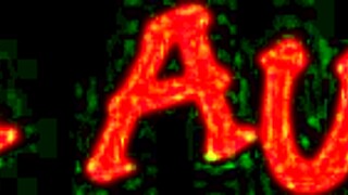 hung cocks poke through gloryhole just for curvy aria austin's wet pussy