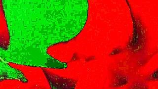 Cock Hungry BBW Milf Sucks Strokes and Gulps Cum Load