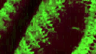 Artemisia Love's Tempting Big Tits Solo Bounce at Night