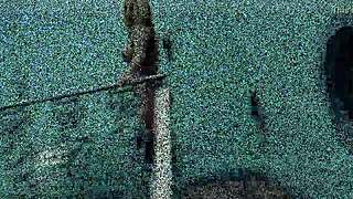 a peladona bbb hottest amateur portuguese babe usa music vibes