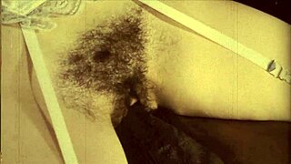 wanna see black hairy beavers in vintage interracial group fuck orgies?!