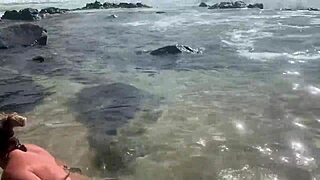 Dude a stranger just fed my cumshot to beach fish in public view! 🐟💦😲