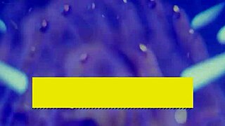 brazzers sara blonde babe drilled deep in shaved pussy then facial cum blast