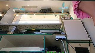 yo, check this hot bitch's perfect pussy peeking from under her sexy skirt