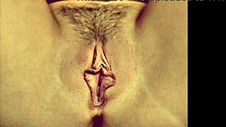 yo check this close-up pussy compilation, bearded clams up close and wet