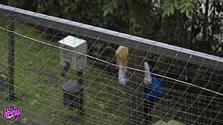 Android 18 Cosplay Babe Rides Cock and Gulps Cum in POV