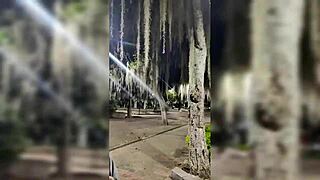 My date with this cute Colombian fan turned into deepthroat blowjob and doggystyle ass licking