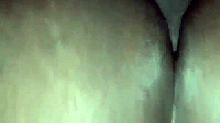 exploring diverse landscapes and cultures across the united states