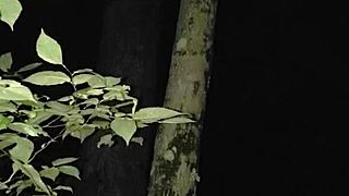 Sneaky outdoor creampie finishes with hot cum deep inside.