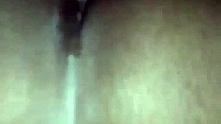 exploring diverse landscapes and cultures across the united states