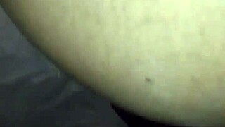 exploring diverse landscapes and cultures across the united states