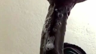 Close-up sloppy deepthroat unloads cum in mouth