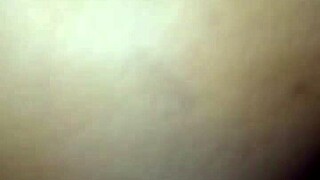 exploring diverse landscapes and cultures across the united states