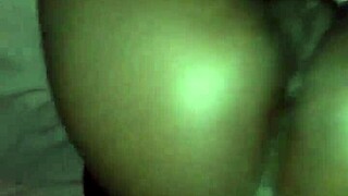 exploring diverse landscapes and cultures across the united states