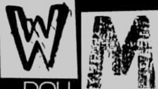 wm doll 166c perfect fake tits perky ass sexdoll