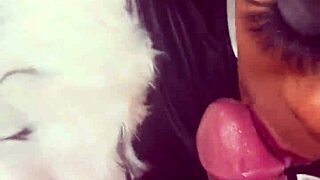 Cruella's hidden BBC craving sparks wild adventure