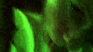 Wife Gags on Cock Then Swallows Every Thick Drop