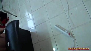 first-time amateur thai ladyboy ava strokes and sucks pov