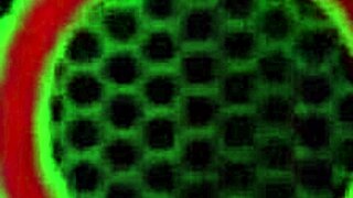 Sara Jay oils her feet and rubs her pussy while fingering to orgasm