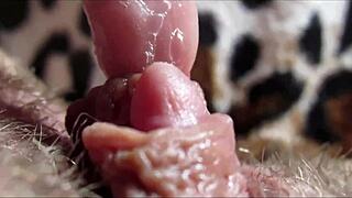 Watch her big clit throb through intense orgasm closeup
