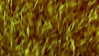 Innocent college coeds' photo shoot spirals into backstage panties-off casting tease