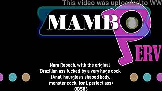 wanna see nara rabech's perfect brazilian ass gape on monster cock anal?