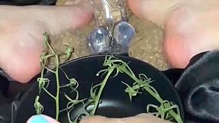 muslim stepsis arabian snowbunnies masturbates seductively with dildo for bbc in beverly hills