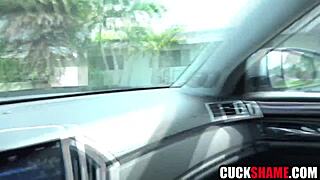 Hubby Spies Wife Sucking Lover's Monster Cock