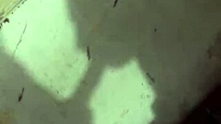 shadow's wild interracial anal creampie with chubby girlfriend blowjob