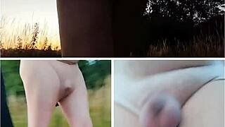 EUROPEAN SOLO FLASH IN STOCKINGS FOREST