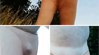 EUROPEAN SOLO FLASH IN STOCKINGS FOREST