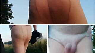 EUROPEAN SOLO FLASH IN STOCKINGS FOREST