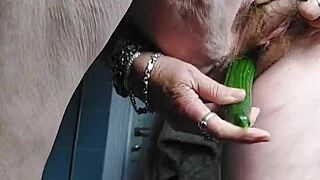 granny whore rams cucumber deep in her hairy german beaver