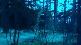 dark lantern brings vintage hairy beavers in nature outdoors