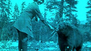 dark lantern brings vintage hairy beavers in nature outdoors